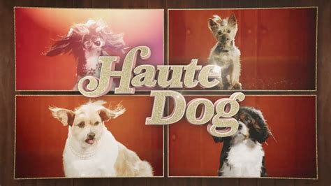 alluc haute dog|Haute Dog (2020) Trailer .